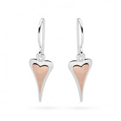 Amore Fusion Earrings