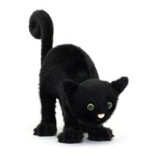 Spookipaws Cat