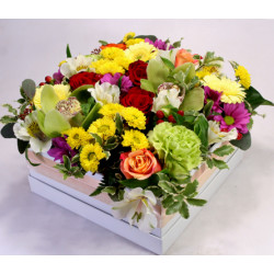  Eternal summer! - colorful flower box