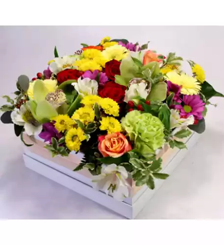  Eternal summer! - colorful flower box