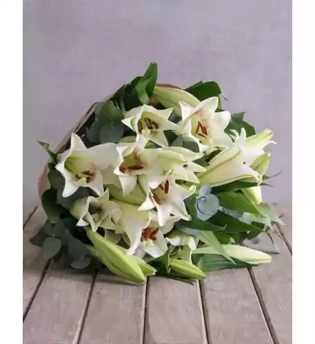 Divine Lily Blossoms Divine Lily Blossoms
