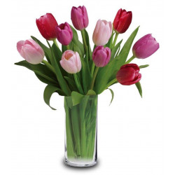 10 Mixed Tulips