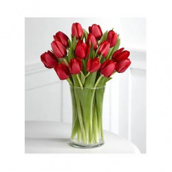 15 Elegant Red Tulips in a Vase