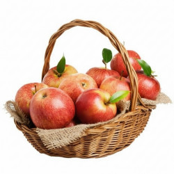 Apple Basket