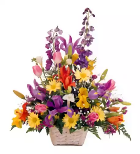 Floral Fresh (Regular)
