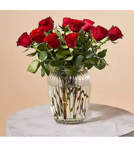 A DOZEN RED ROSES