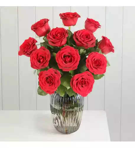 A Dozen Red Roses