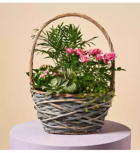 BASKET OF BLOOMS