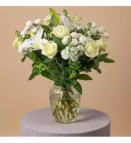 Ivory Dreams
