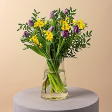 Spring Angel