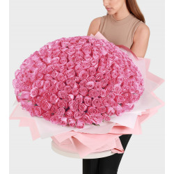 300 Pink Roses