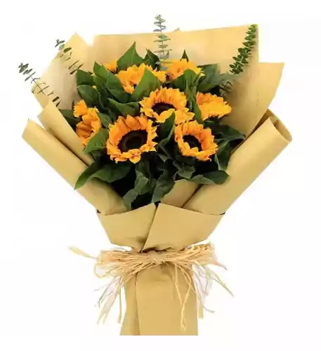 11 Sun flowers 11 Sun flowers