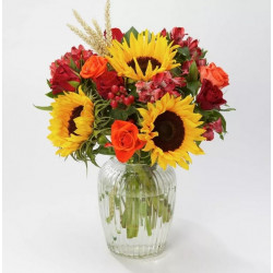 CHEERFUL ORANGE ROSE PLANT CHEERFUL ORANGE ROSE PLANT