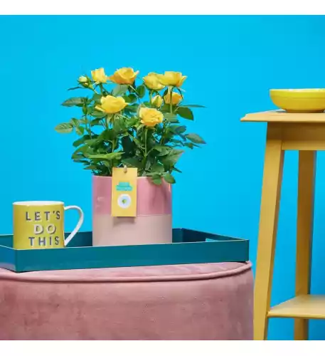 Yellow Rose Ceramic