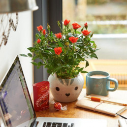 Cute Cat Ceramic Cute Cat Ceramic