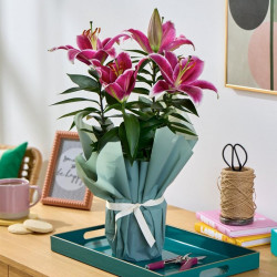 Gift Wrapped Oriental Lily