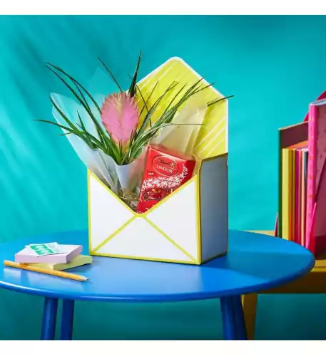 Bromeliad & Chocolates Envelope