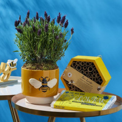 Bee Friendly Bundle - Save Â£10