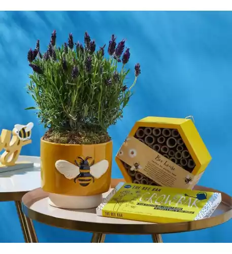 Bee Friendly Bundle - Save Â£10