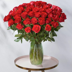 50 Red Roses 50 Red Roses