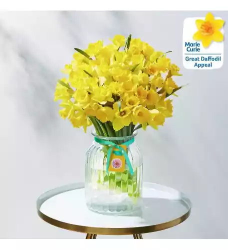 Spring Daffodil Vase