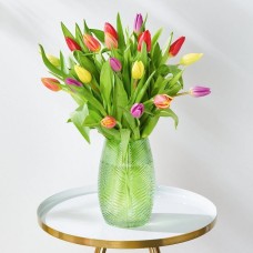 Spring Tulips