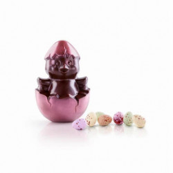 DARK CHOCOLATE CHICK, ON MINI EGG NEST