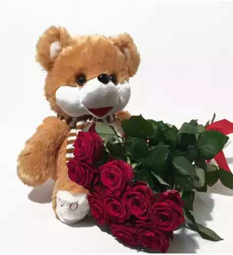 Teddy Bear and Red Roses (15 Roses)