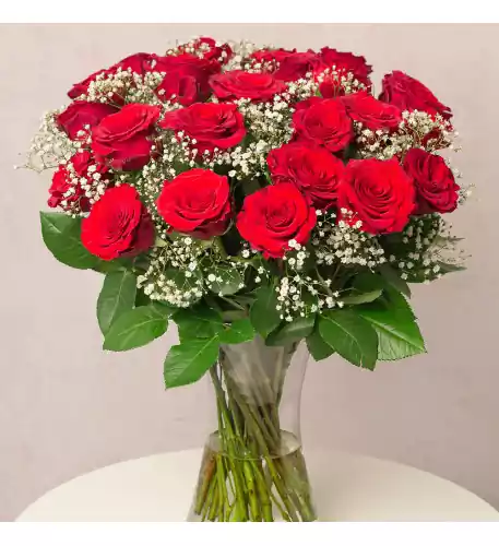 24 Red Roses & Gypsophila