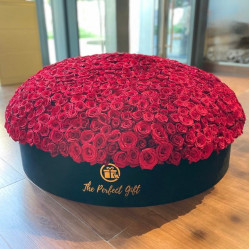 1000 Luxury Red Roses in Velvet Box