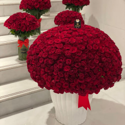 1000 Grand Roses & Balloons Gift Set