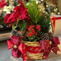 'Christmas Eve' Flower Arrangement in a Basket