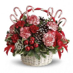 'Mistletoe' Christmas Flower Gift Basket