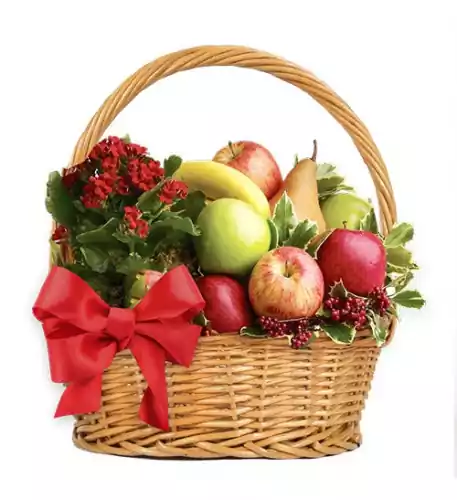 'Best Wishes' Fruit Gift Basket 'Best Wishes' Fruit Gift Basket