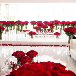 3000 Ultimate Roses Gift - 50 Vases, petals & Roses letters