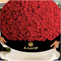 1000 Luxury Red Roses in Velvet Box