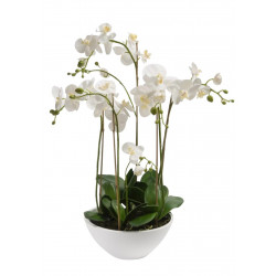 12 Red Roses & 5 Pink Tulips Bouquet