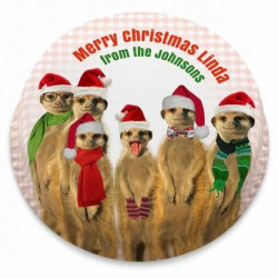 festive meerkats cake (Serves 2-4)