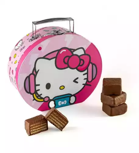  HELLO KITTY SUITCASE
