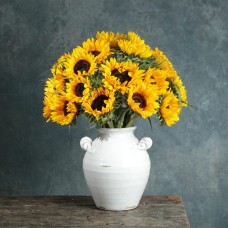 12 Months Gift Subscription - Fortnightly