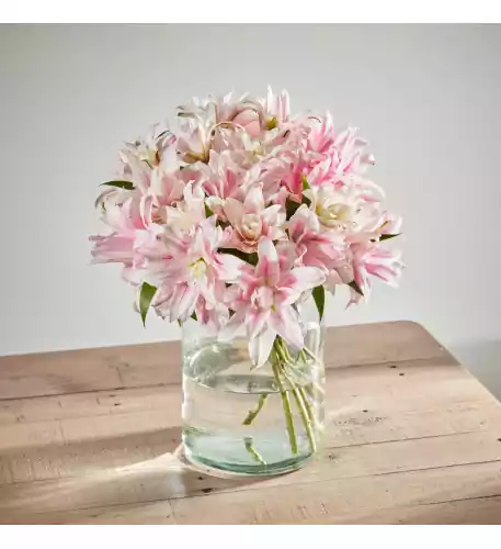 Scented Double Lilies