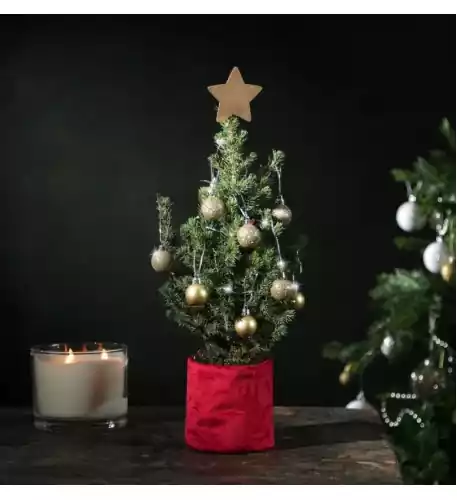 Letterbox Mini Christmas Tree