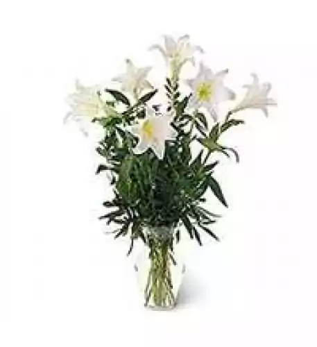 Vase With 6 Lilies