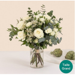Cotton Green (Normal)
