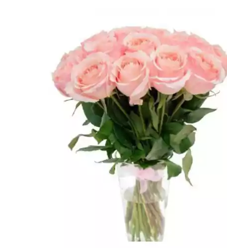 11 Pink Roses (Regular) 11 Pink Roses (Regular)