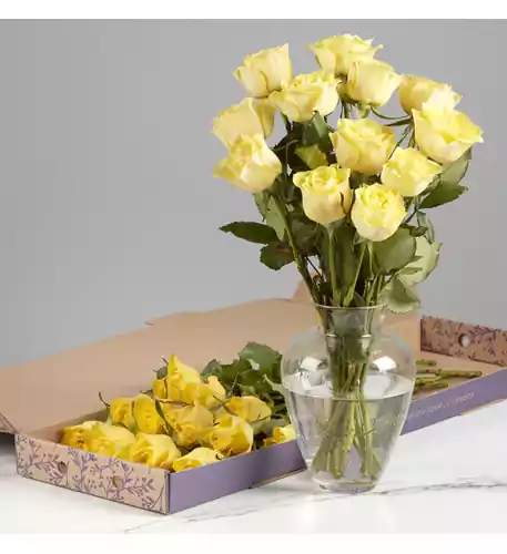 The Letterbox Friendship Yellow Roses