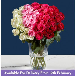Luxury 50 Rose Ombre Bouquet
