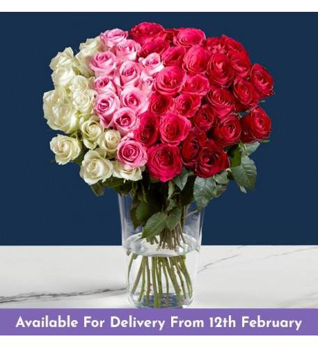 Luxury 50 Rose Ombre Bouquet