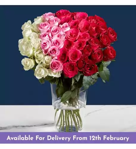 Luxury 50 Rose Ombre Bouquet