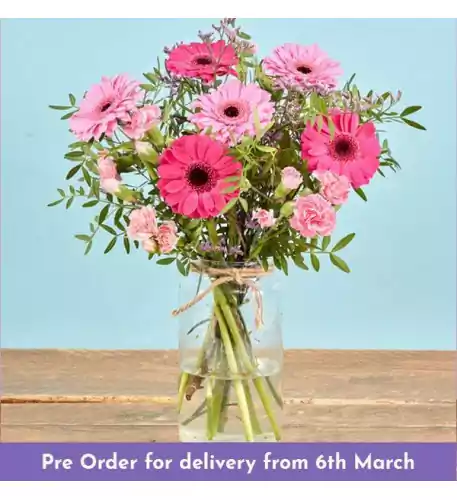 Gemini Posy with Free Vase